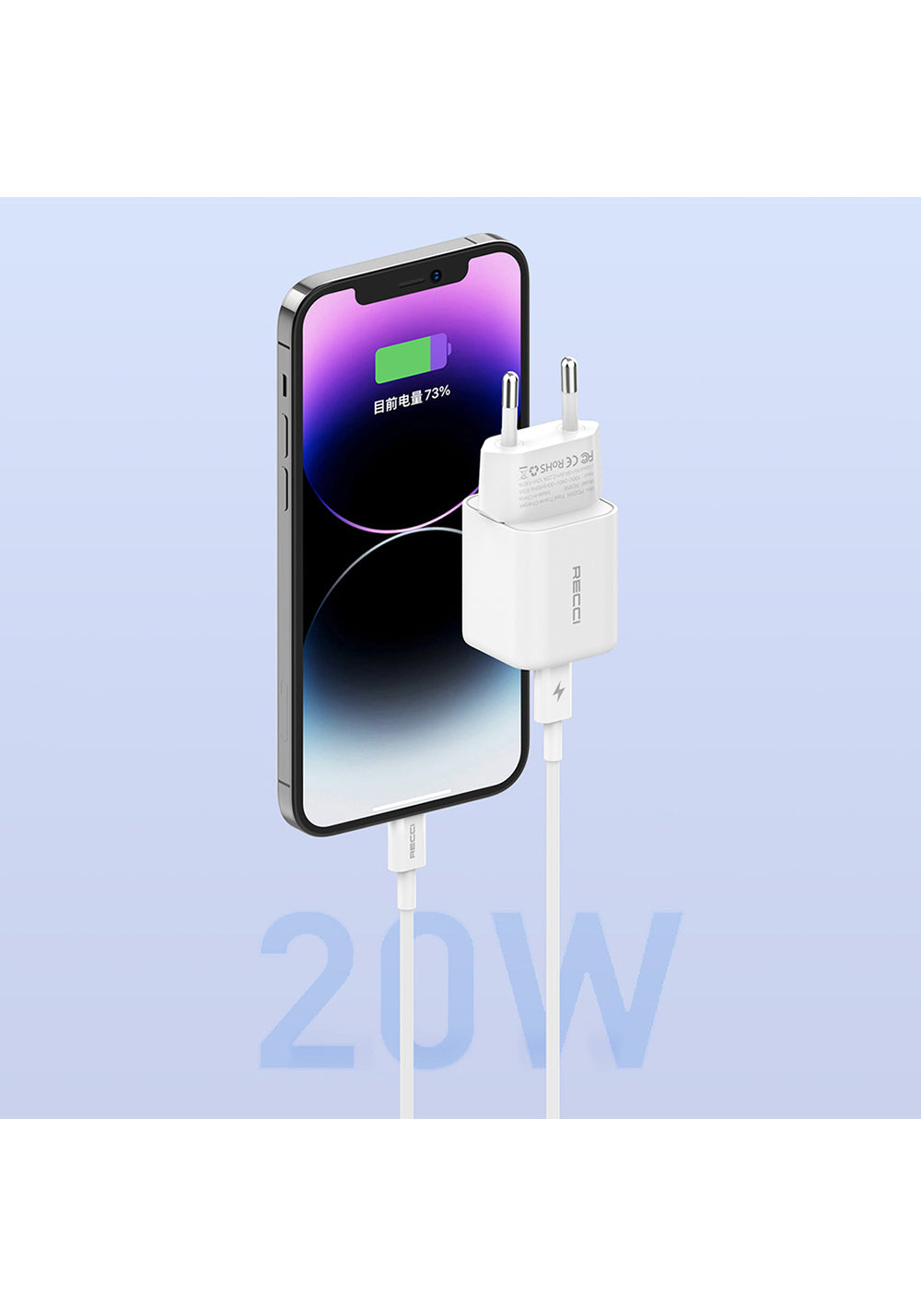 Recci RC65E Hızlı Şarj Başlığı Type-C to Lightning PD 20W Kablolu Şarj Seti