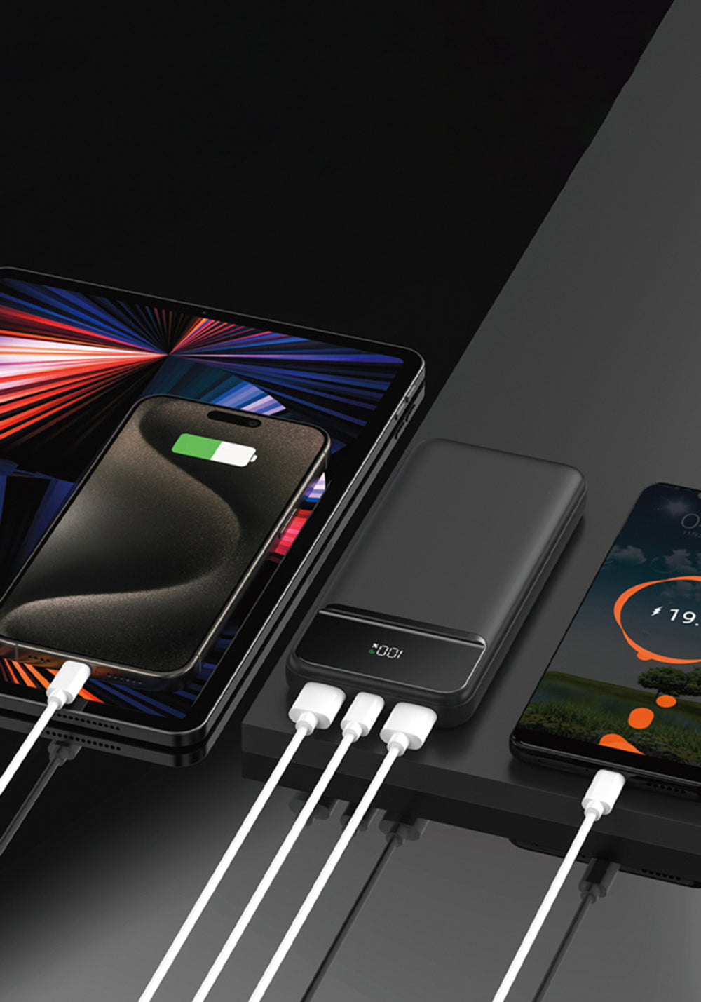 Lenyes PX254D 20000 mAh Powerbank