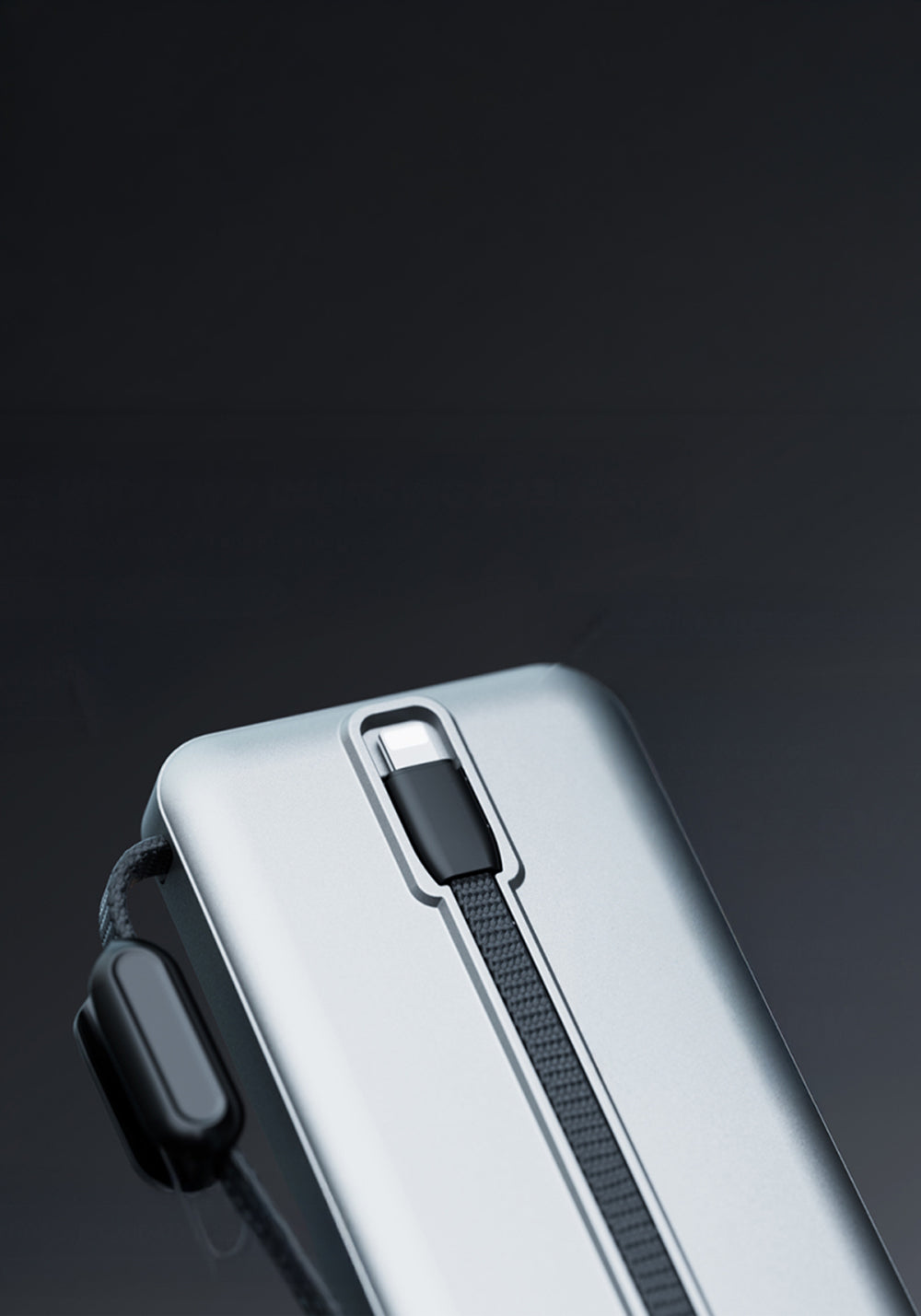 Lenyes PX3004D 30000 mAh Powerbank
